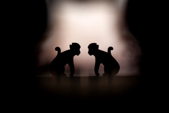 The Shadow Theater: The Legend of The Monkey King - Image 12